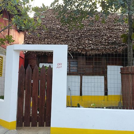 Chez Alex Bed & Breakfast Nosy-Be Bagian luar foto