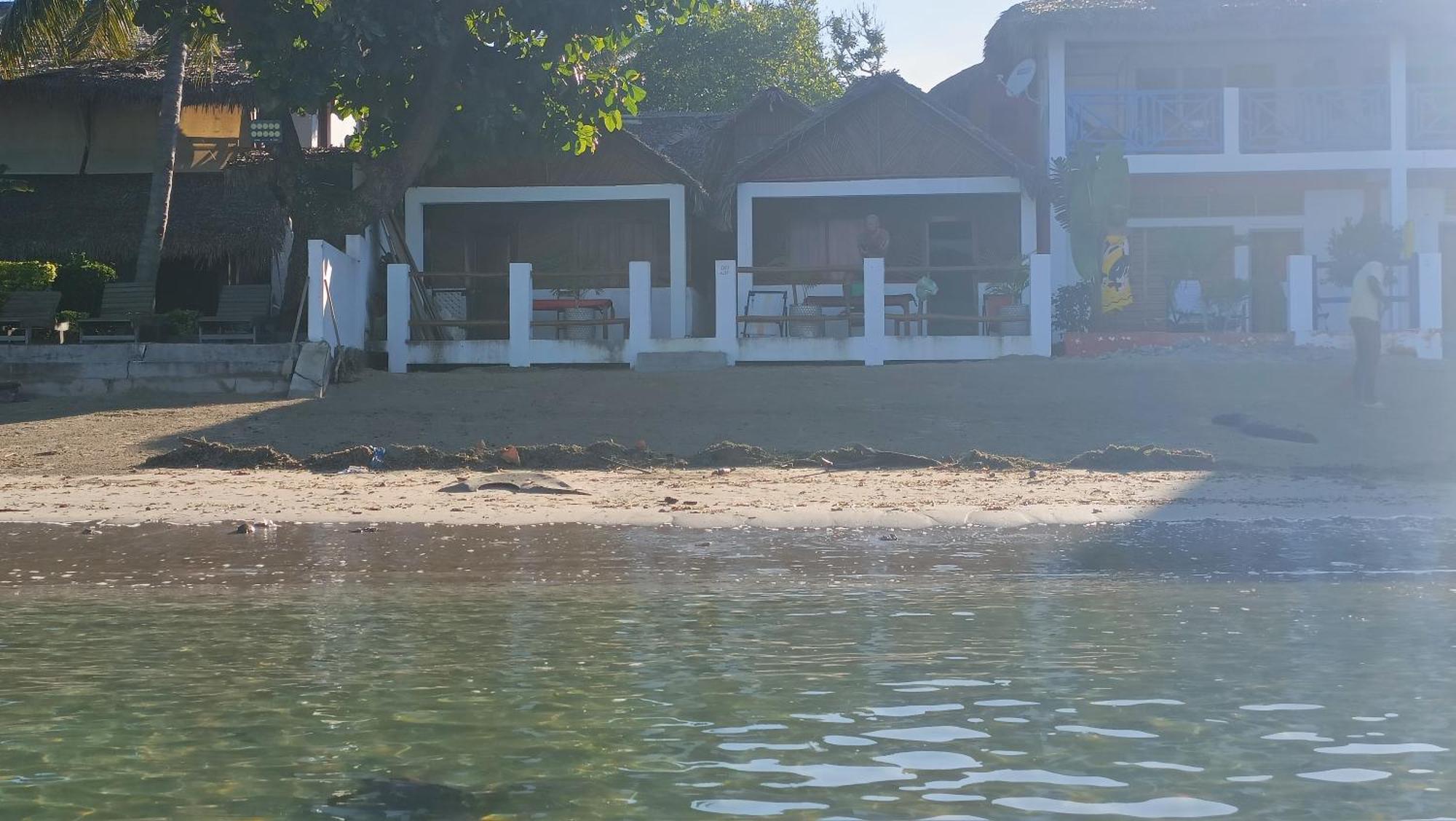 Chez Alex Bed & Breakfast Nosy-Be Bagian luar foto